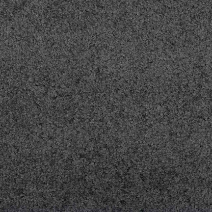 Tapete de Entrada Outros Antracite e Preto 120 x 250 cm