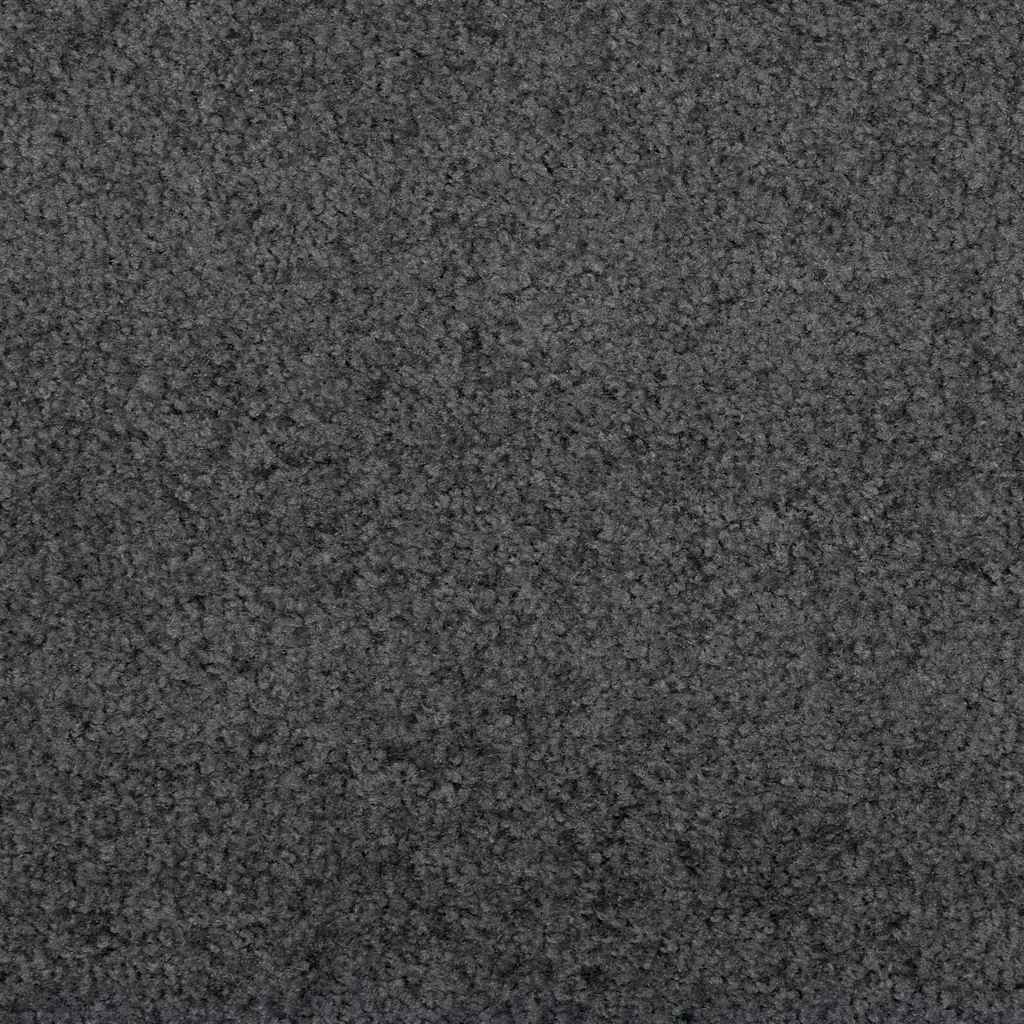 Tapete de Entrada Outros Antracite e Preto 120 x 350 cm
