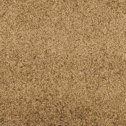 Tapete de Entrada Creme e Preto 120 x 300 cm Poliamida e PVC