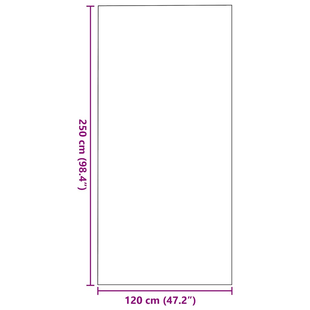 Tapete de Entrada Outros Antracite e Preto 120 x 250 cm