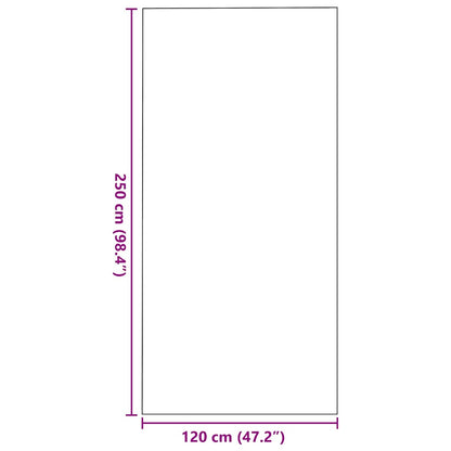 Tapete de Entrada Outros Antracite e Preto 120 x 250 cm