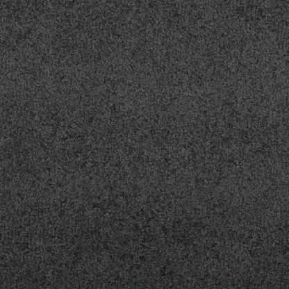 Tapete de Entrada Outros Antracite e Preto 120 x 300 cm
