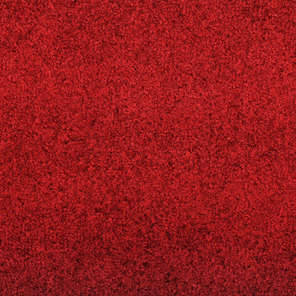 Tapete de Entrada Outros Vermelho e Preto 120 x 300 cm