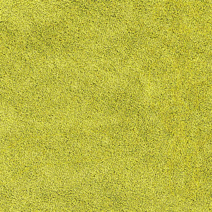 Tapete de Banho Antiderrapante Verde 60 x 90 cm PP