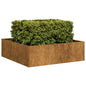 Floreira enferrujada 100x100x30 cm aço resistente