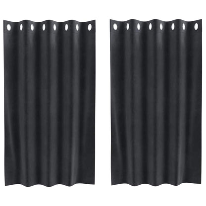 Cortinas com cortinas 2 pcs Cinzento escuro 140 x 140 cm Veludo
