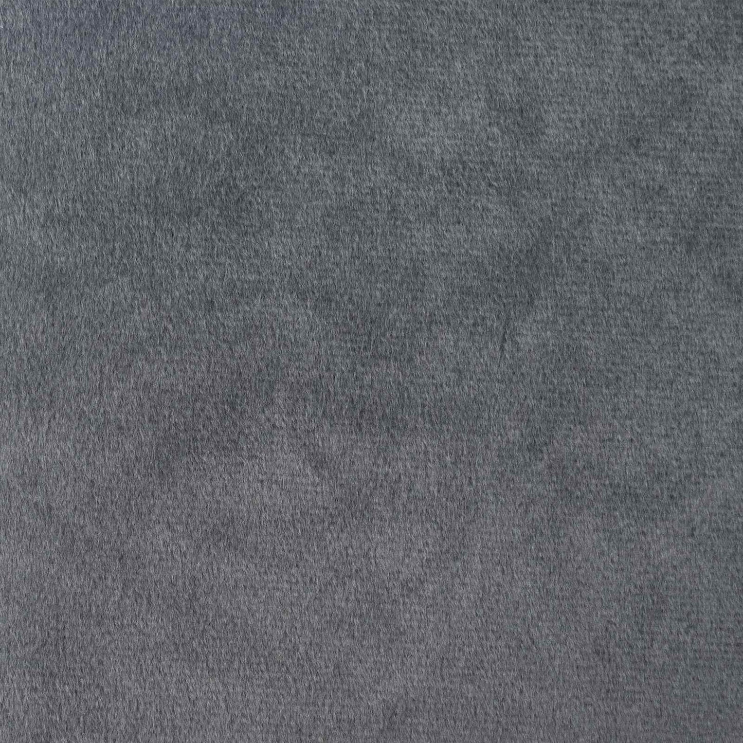 Cortinas opacas 2 pcs Cinzento-claro 140 x 140 cm Veludo