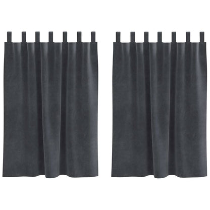 Cortinas opacas 2 pcs Cinzento-claro 140 x 140 cm Veludo
