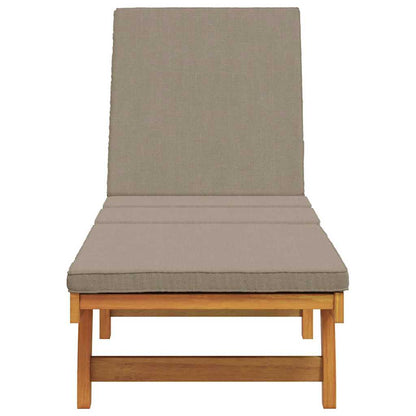 Espreguiçadeira com almofada 1-pessoa Castanho 63 x 199 x 85cm