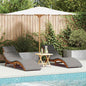Espreguiçadeira com almofada 2 pcs Cinzeto 184 x 55 x 64cm