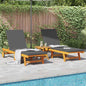 Espreguiçadeira com almofada 2 pcs Castanho 63 x 199 x 85cm