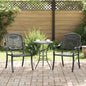 Cadeira de Jardim 2 pcs Preto 55 x 56.5 x 91cm Alumínio