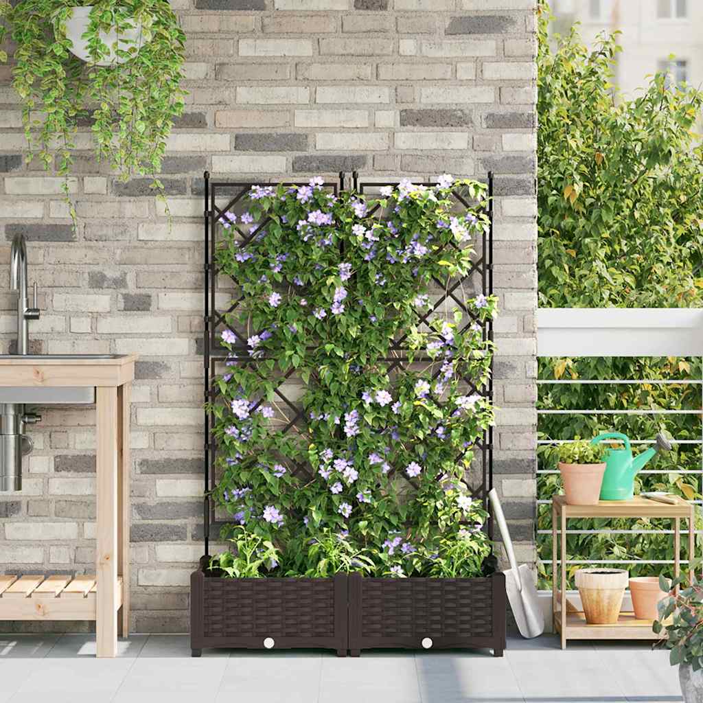 Jardineira com Treliça 2 pcs Castanho 80 x 40 x 125.5 cm PP