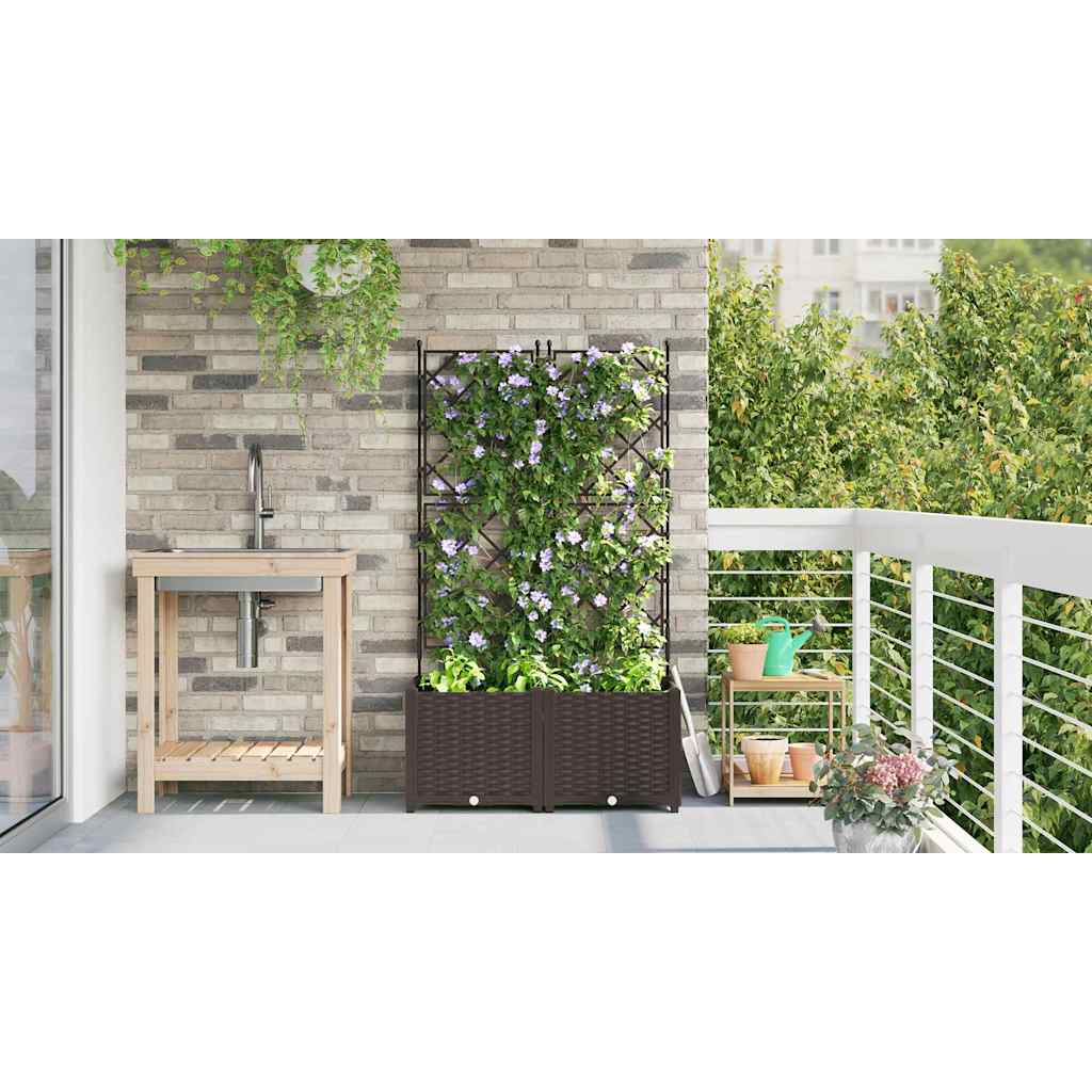 Jardineira com Treliça 2 pcs Castanho 80 x 40 x 143 cm PP