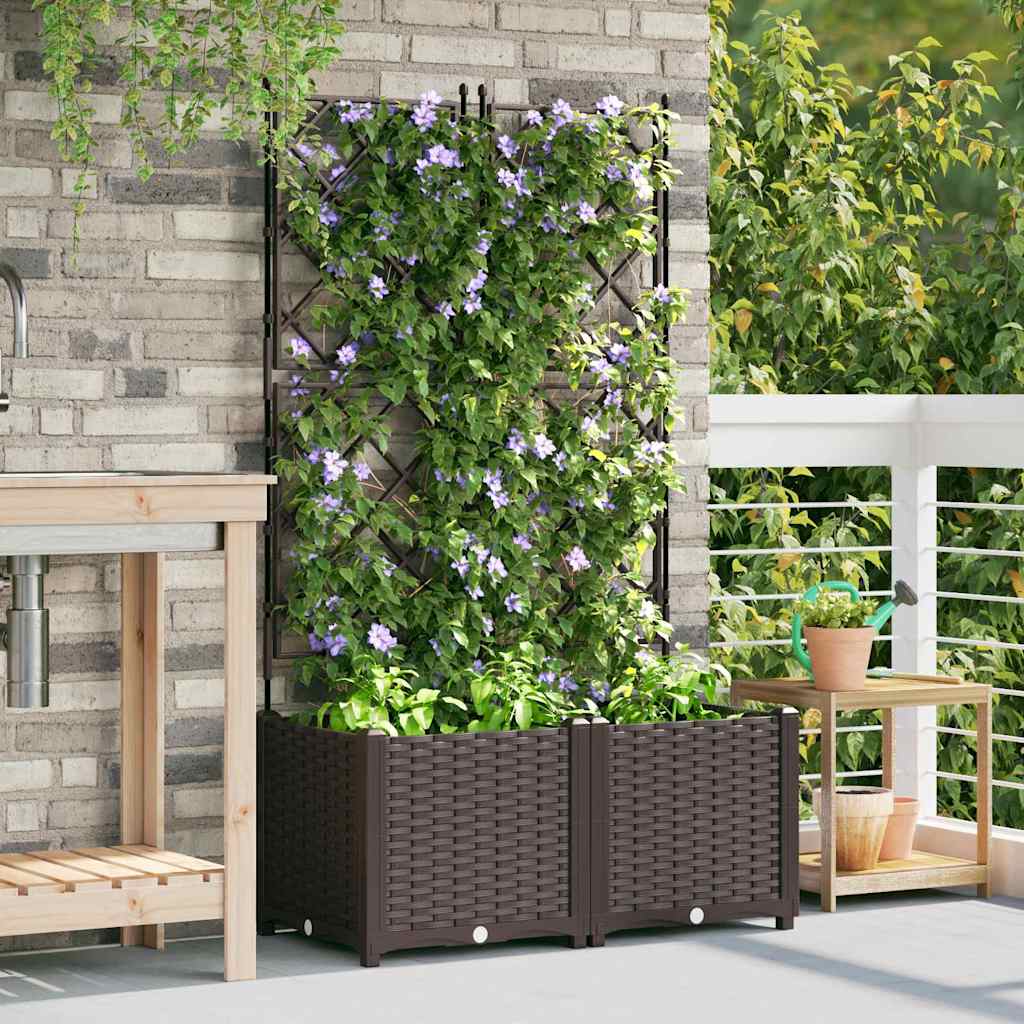 Jardineira com Treliça 2 pcs Castanho 80 x 40 x 143 cm PP