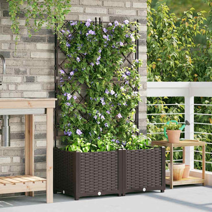 Jardineira com Treliça 2 pcs Castanho 80 x 40 x 143 cm PP