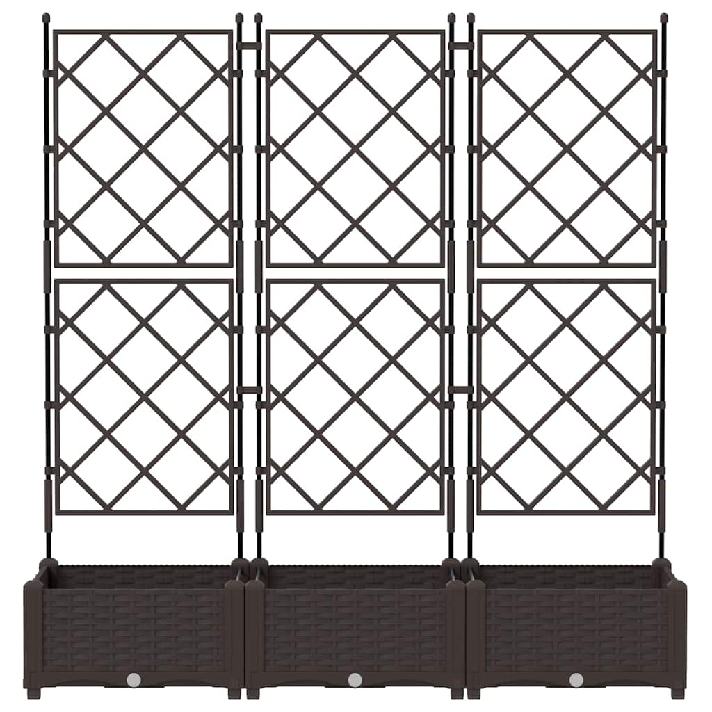 Jardineira com Treliça 3 pcs Castanho 120 x 40 x 125.5 cm PP