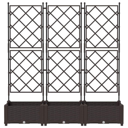 Jardineira com Treliça 3 pcs Castanho 120 x 40 x 125.5 cm PP