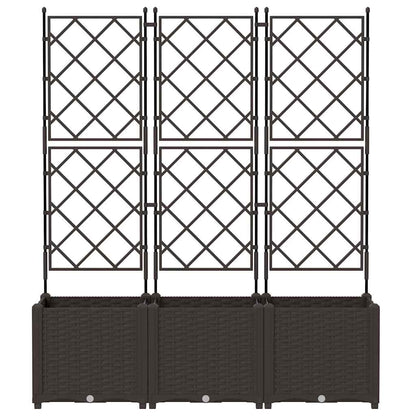 Jardineira com Treliça 3 pcs Castanho 120 x 40 x 143 cm PP