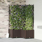 Jardineira com Treliça 3 pcs Castanho 80 x 80 x 143 cm PP