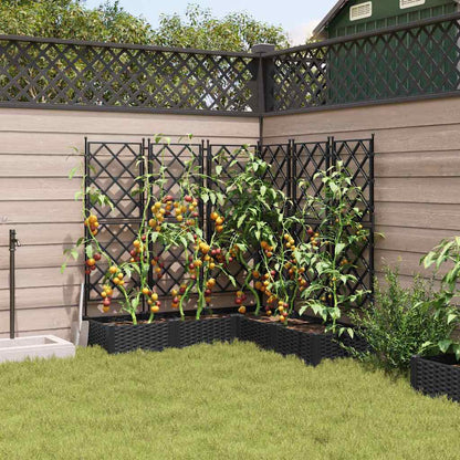 Jardineira com Treliça 5 pcs Preto 120 x 120 x 125.5 cm PP