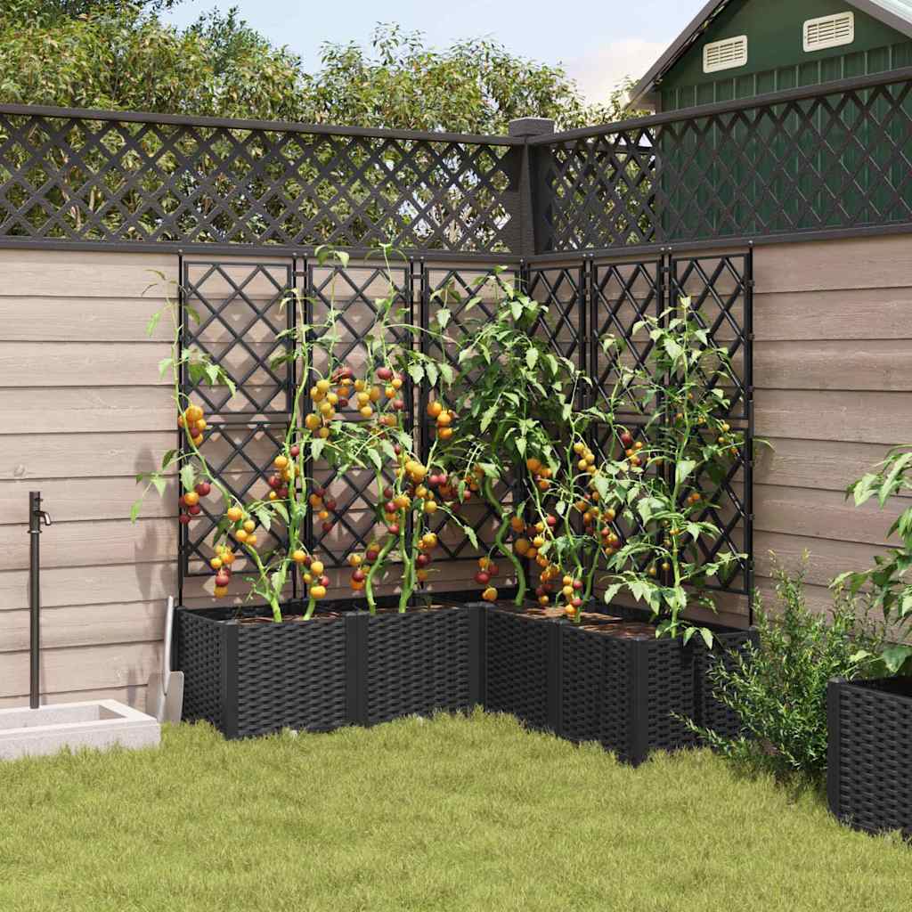 Jardineira com Treliça 5 pcs Preto 120 x 120 x 143 cm PP