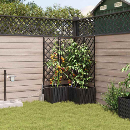 Vasos de Jardim Preto 80 x 80 x 142 cm Aço