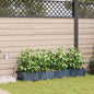 Vasos de Jardim Cinzeto 160 x 40 x 22 cm Aço