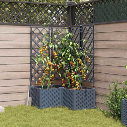 Jardineira com Treliça 3 pcs Cinzento-claro 80 x 80 x 143 cm PP