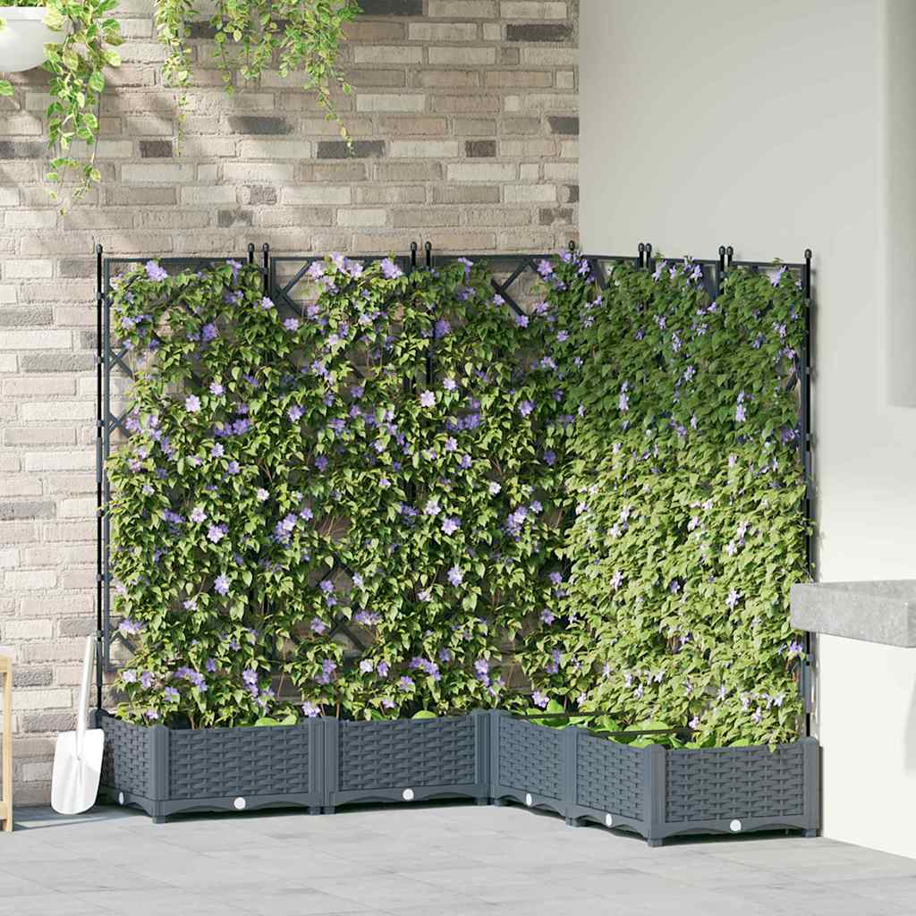 Jardineira com Treliça 5 pcs Cinzento-claro