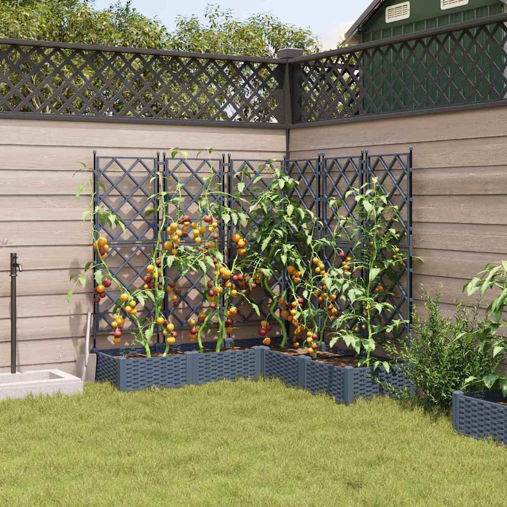 Jardineira com Treliça 5 pcs Cinzento-claro