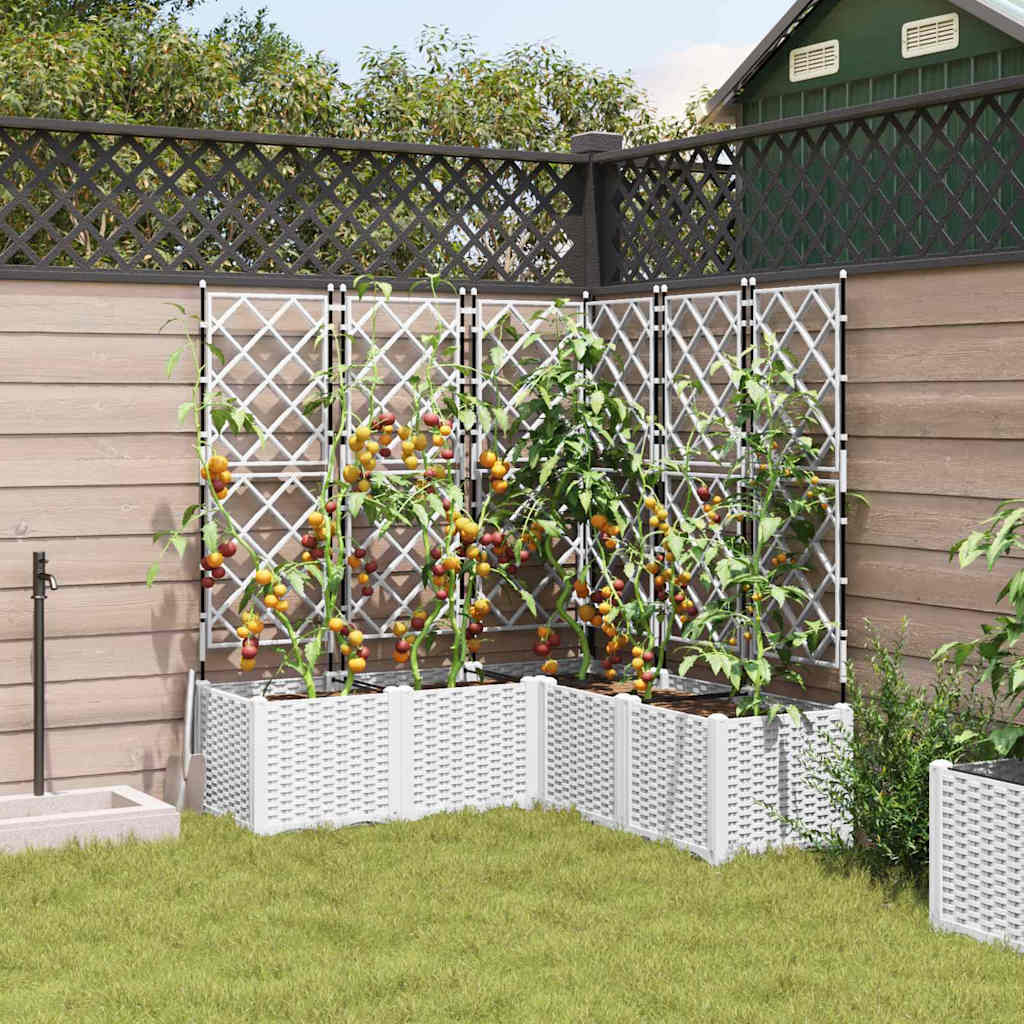 Jardineira com Treliça 5 pcs Branco 120 x 120 x 143 cm PP
