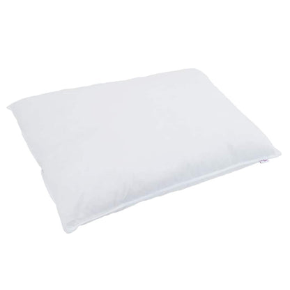 Duvet de Inverno com Travesseiro 2 pcs Branco Pena de ganso