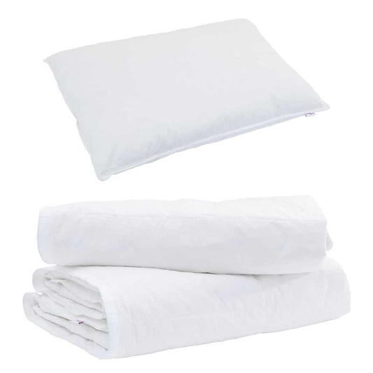Duvet com Travesseiro 2 pcs Branco Pena de ganso
