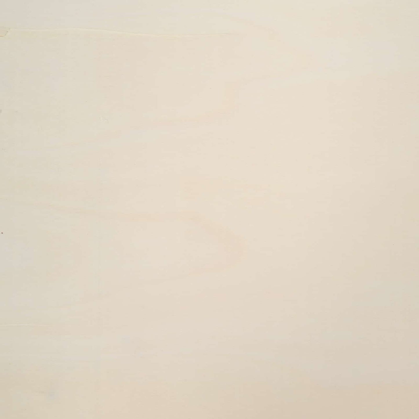 Gabinete Expositivo de Parede Bege 30 x 4,5 x 96 cm